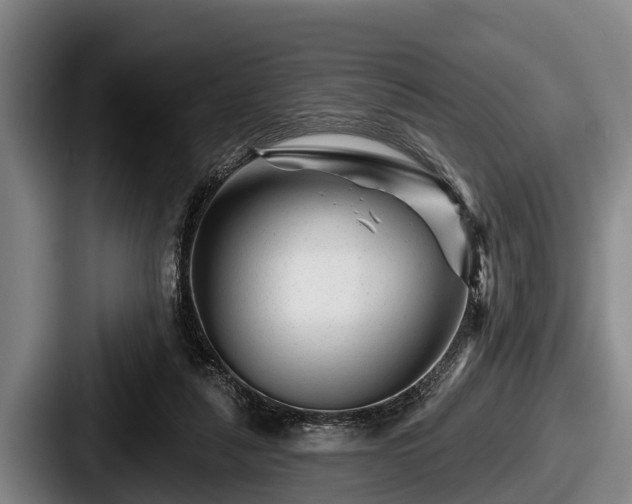 X0000087680259200705111306