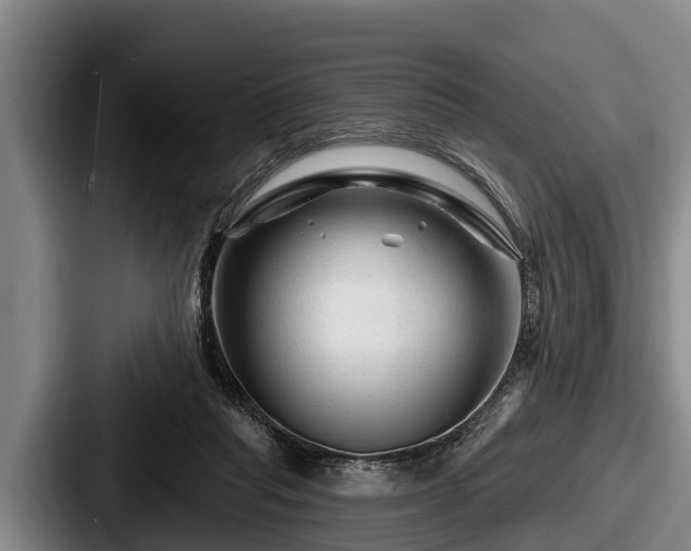 X0000087680261200705111306