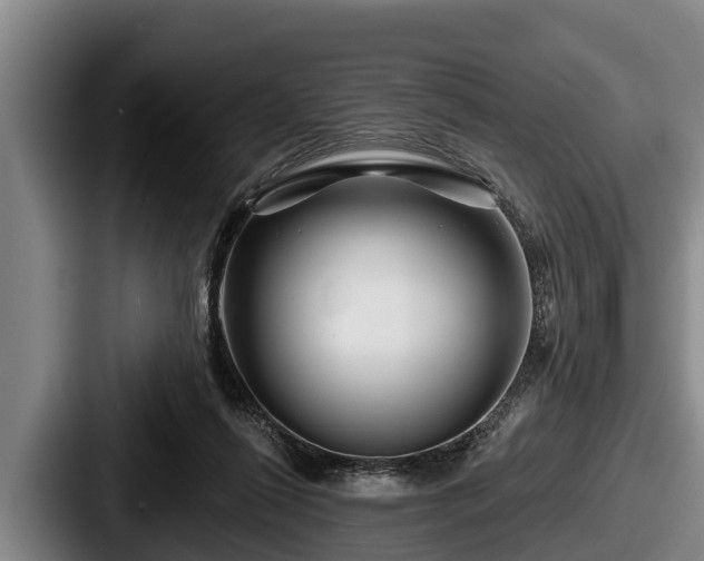 X0000087680262200705111306