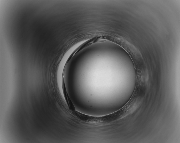 X0000087680263200705111306