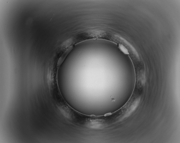 X0000087680268200705111306