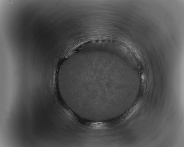 X0000087680269200705111306