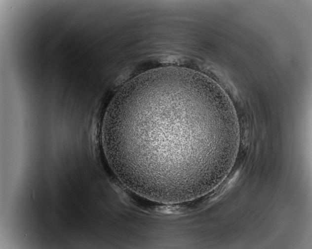 X0000087680273200705111306