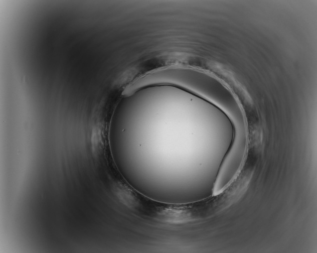 X0000087680280200705111306