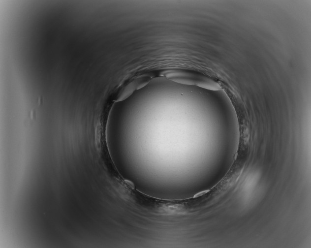 X0000087680283200705111306