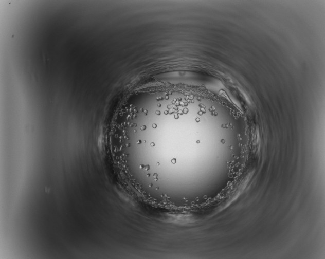 X0000087680284200705111306