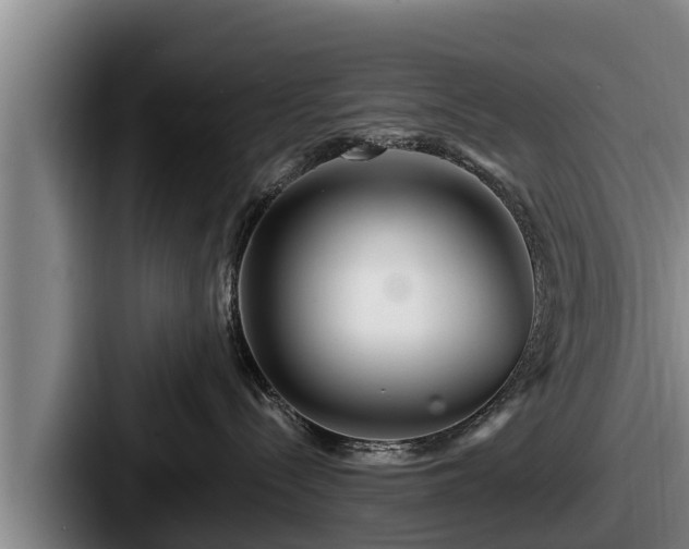 X0000087680288200705111306