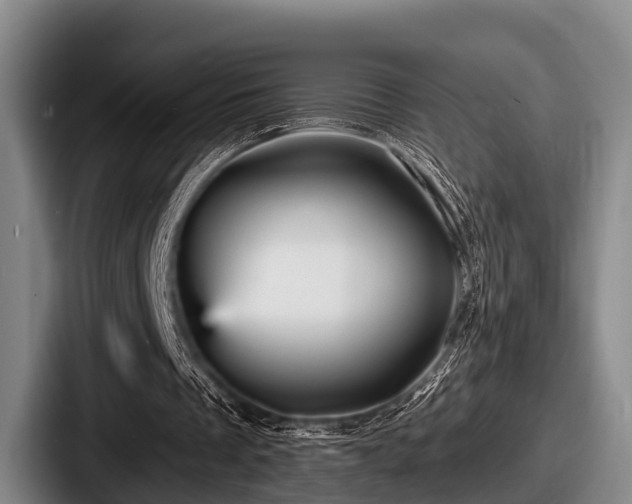 X0000087680289200705111306