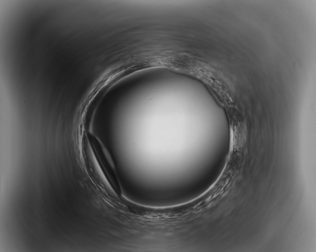 X0000087680291200705111306