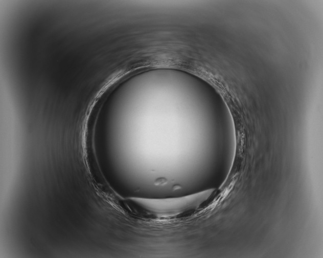 X0000087680292200705111306