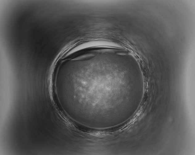 X0000087680293200705111306