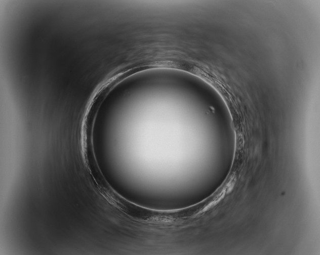 X0000087680294200705111306