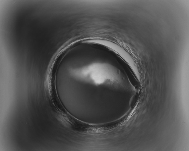 X0000087680295200705111306