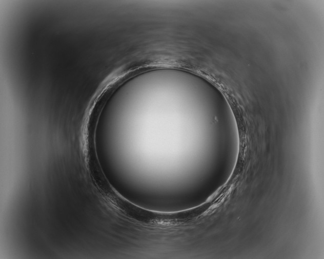 X0000087680296200705111306