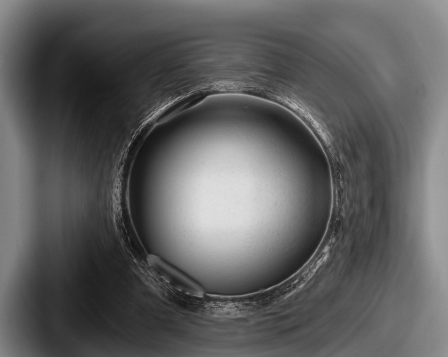 X0000087680297200705111306