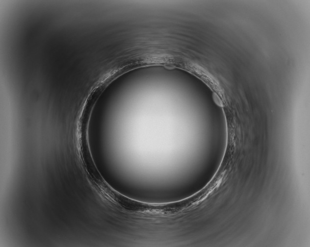 X0000087680298200705111306