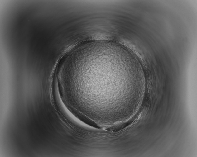 X0000087680299200705111306