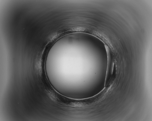 X0000087680300200705111306