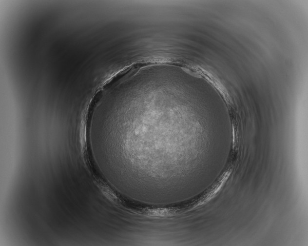 X0000087680301200705111306