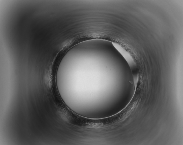 X0000087680304200705111306