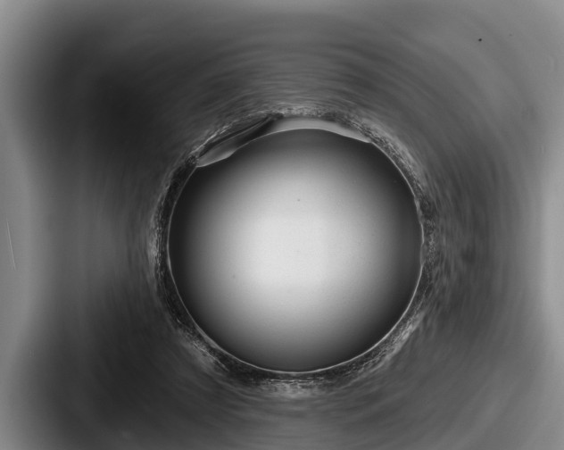 X0000087680305200705111306