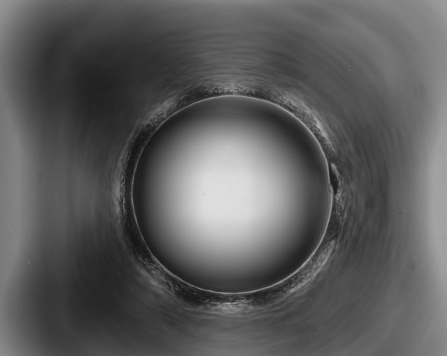 X0000087680306200705111306