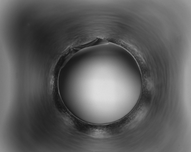 X0000087680308200705111306