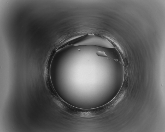 X0000087680309200705111306