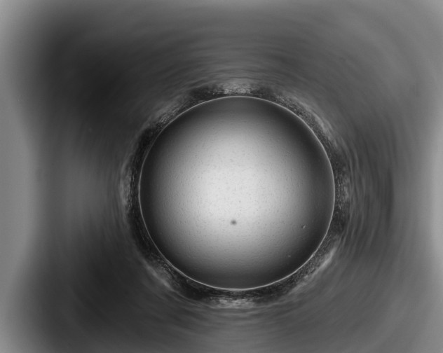 X0000087680311200705111306