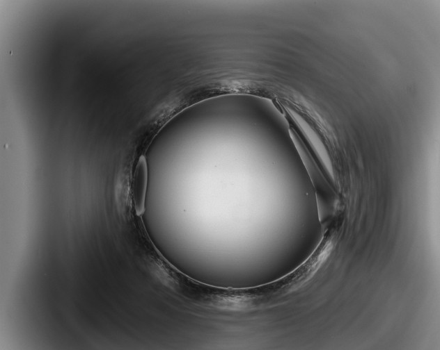 X0000087680313200705111306