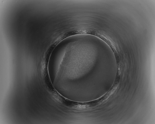 X0000087680314200705111306