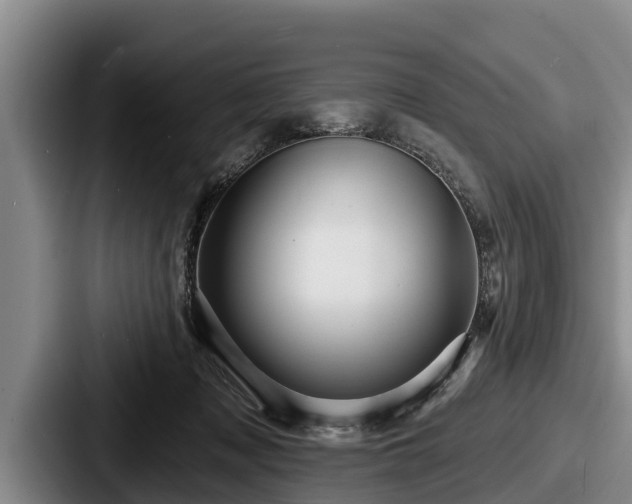 X0000087680317200705111305