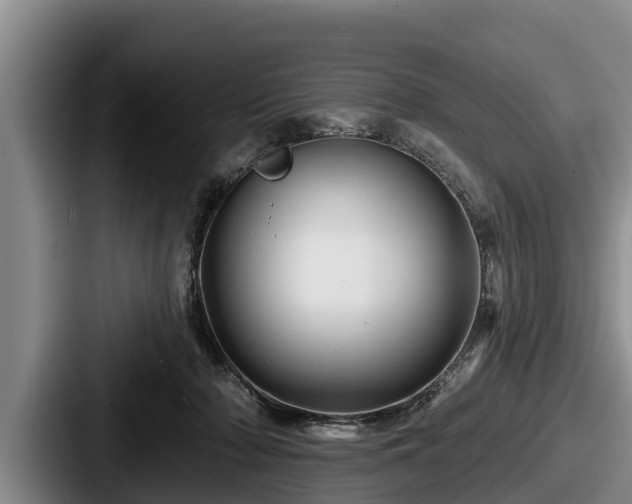 X0000087680318200705111305