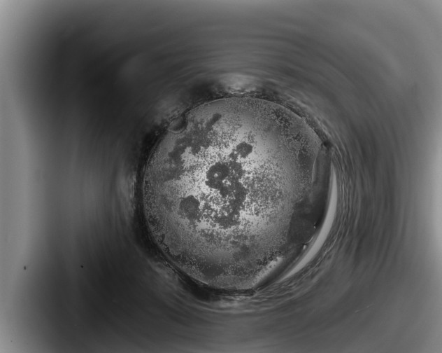 X0000087680319200705111305