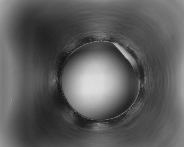 X0000087680320200705111305