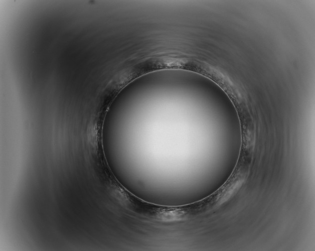 X0000087680321200705111305