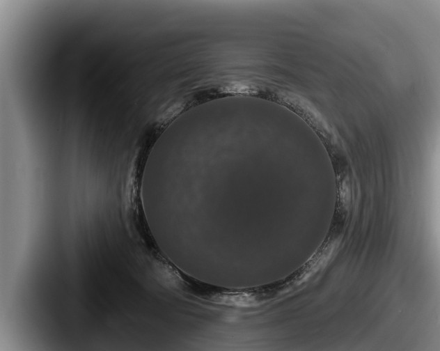 X0000087680322200705111305