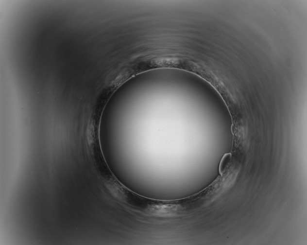 X0000087680323200705111305