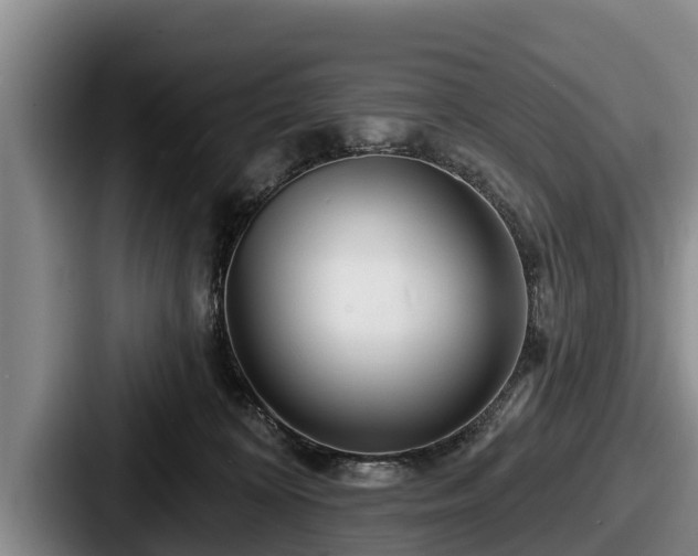 X0000087680324200705111305