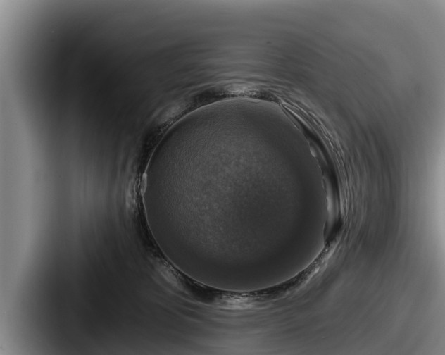 X0000087680325200705111305