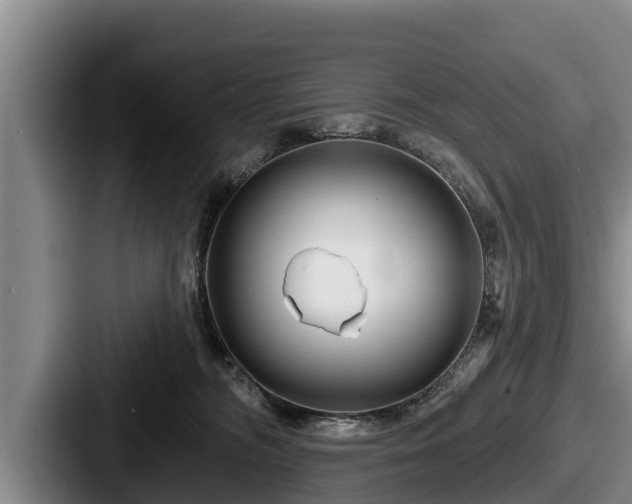 X0000087680326200705111305