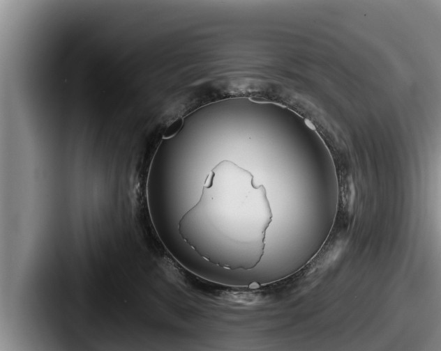 X0000087680327200705111305