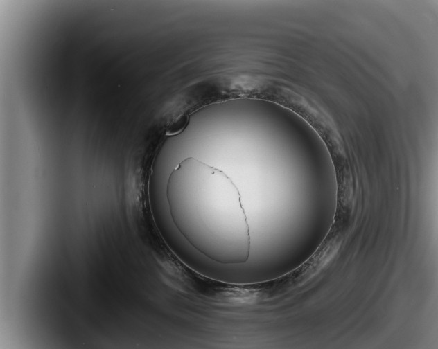 X0000087680328200705111305