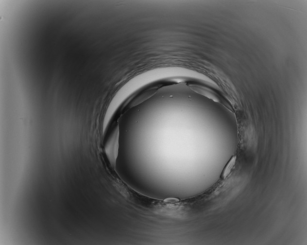 X0000087680329200705111305