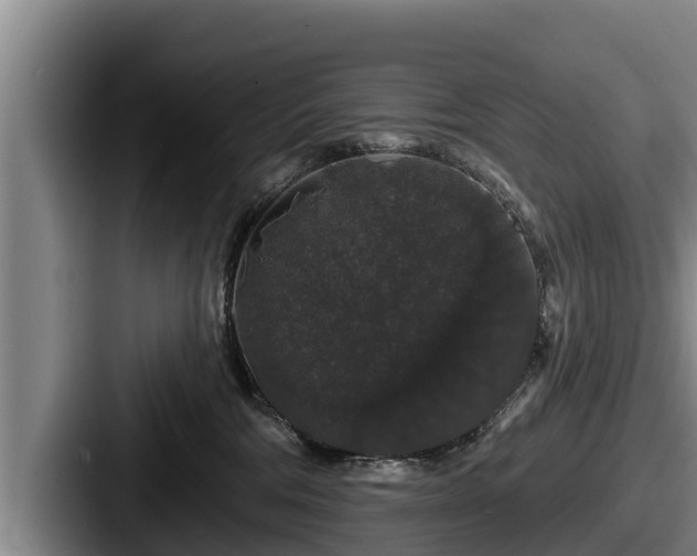 X0000087680330200705111305