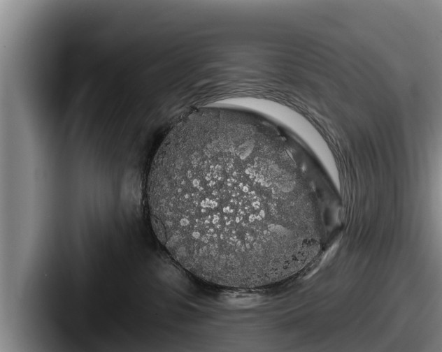 X0000087680331200705111305