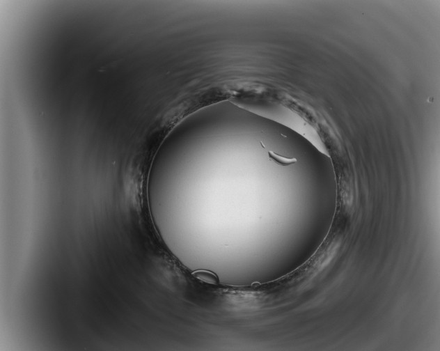 X0000087680332200705111305