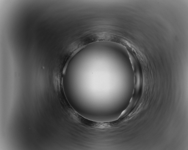 X0000087680333200705111305