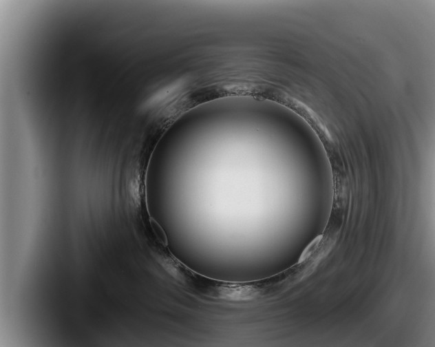 X0000087680334200705111305