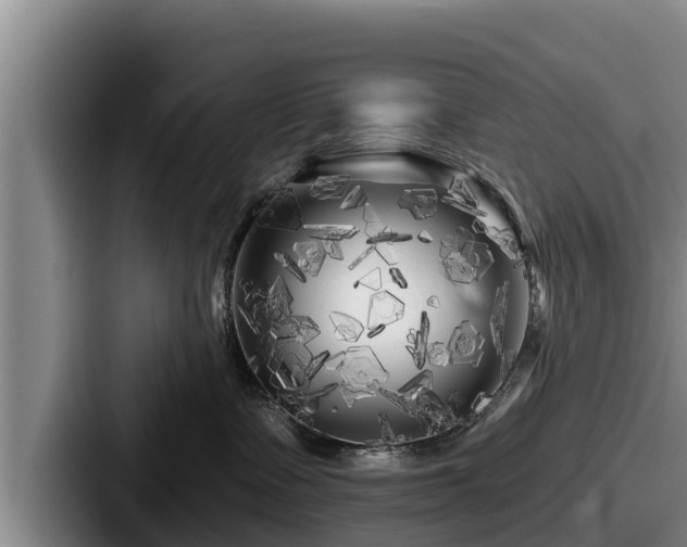 X0000087680335200705111305